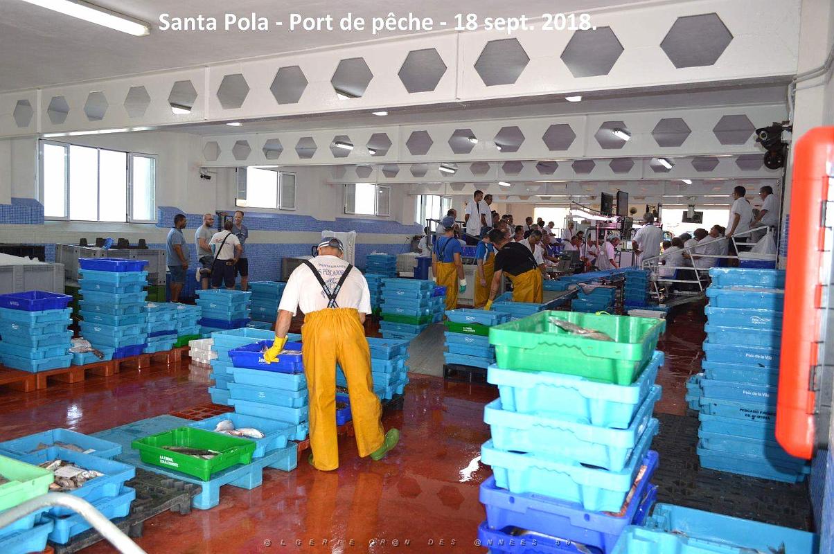 11 SANTA POLA PORT DE PECHE (31).JPG